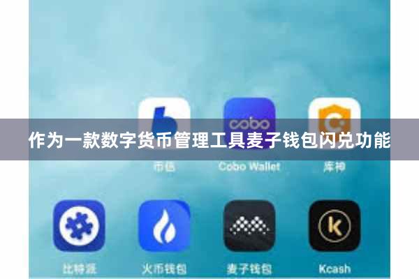 作为一款数字货币管理工具麦子钱包闪兑功能