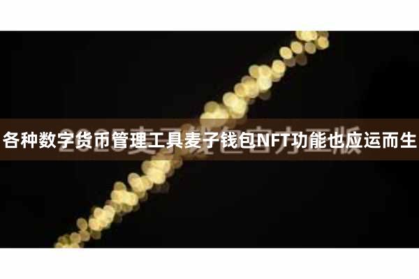 各种数字货币管理工具麦子钱包NFT功能也应运而生