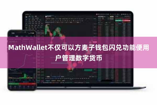 MathWallet不仅可以方麦子钱包闪兑功能便用户管理数字货币