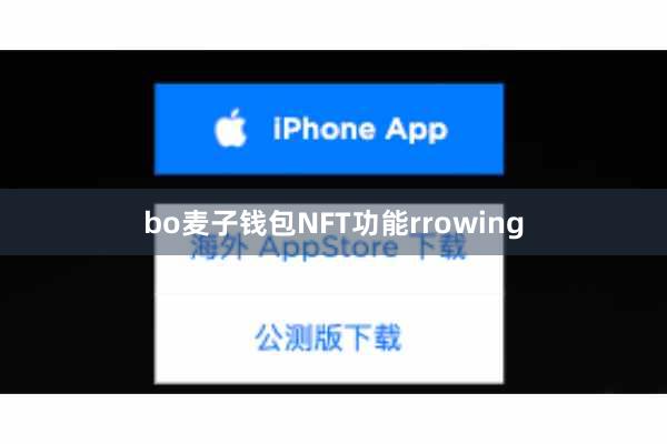 bo麦子钱包NFT功能rrowing