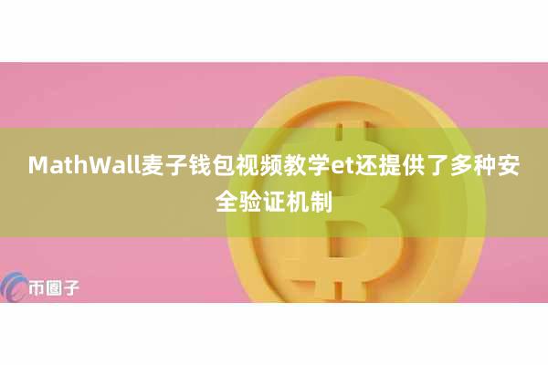 MathWall麦子钱包视频教学et还提供了多种安全验证机制
