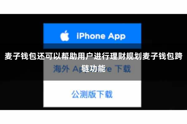 麦子钱包还可以帮助用户进行理财规划麦子钱包跨链功能