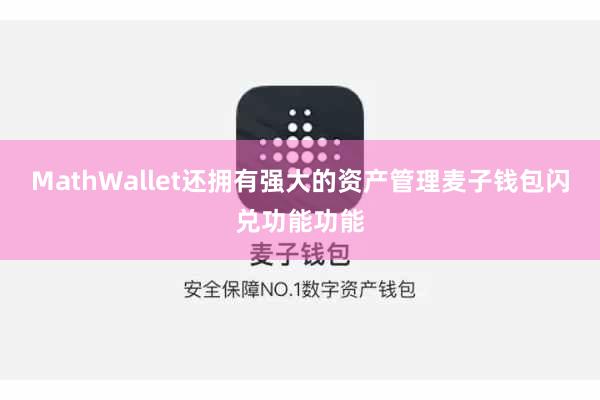 MathWallet还拥有强大的资产管理麦子钱包闪兑功能功能