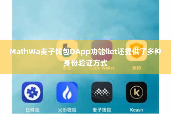 MathWa麦子钱包DApp功能llet还提供了多种身份验证方式