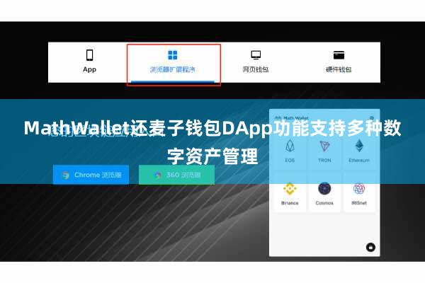 MathWallet还麦子钱包DApp功能支持多种数字资产管理